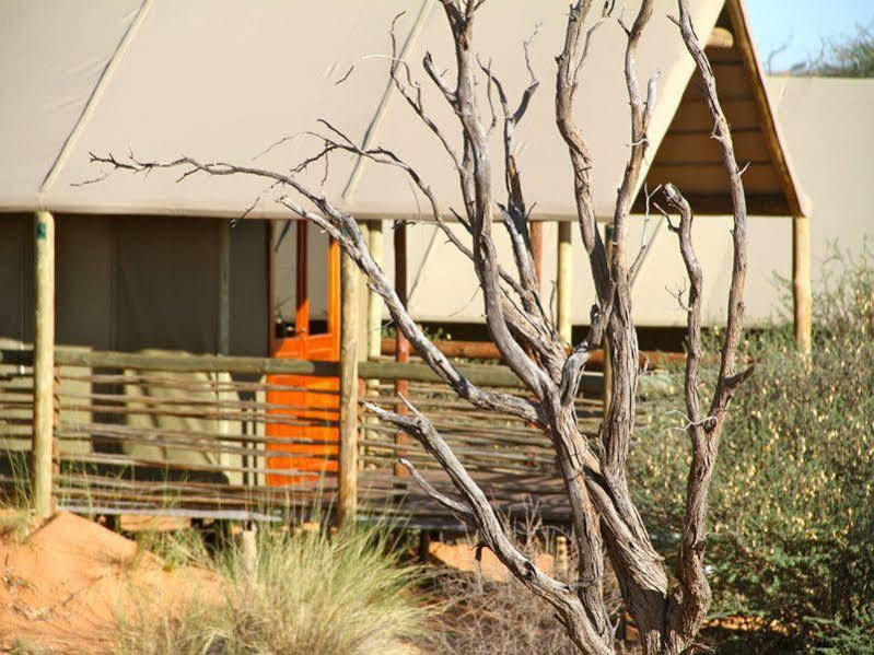 Suricate Tented Lodge Mariental Ngoại thất bức ảnh